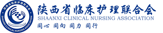 陕西省临床护理联合会
